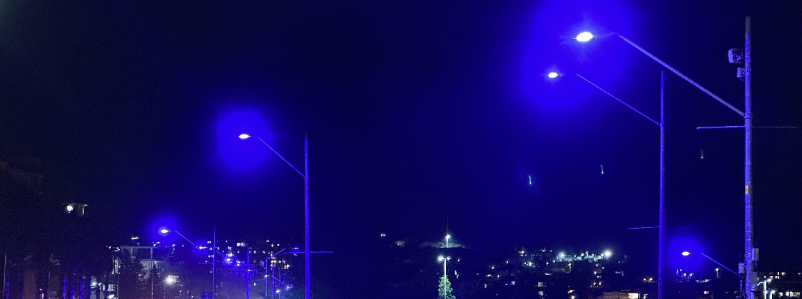 Medical Center Blvd. Blue/Purple Lights