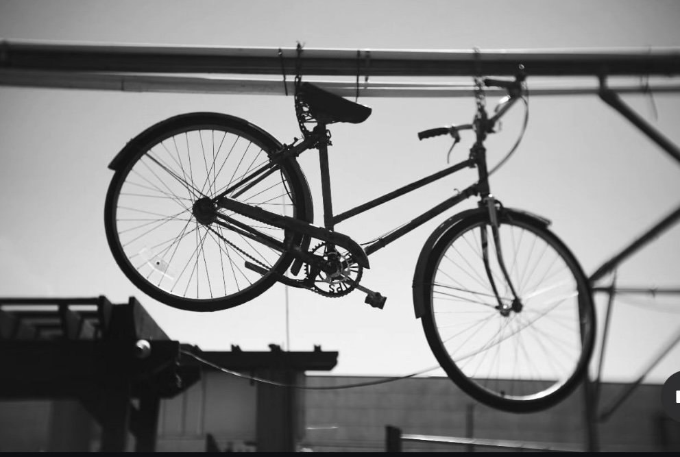 The Whitewash Chronicles